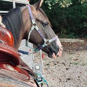 Meet your Posher, Kara